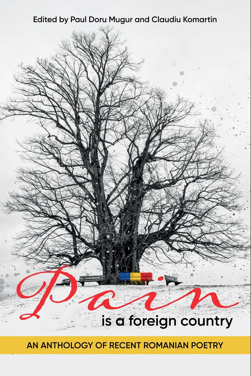 Pain is a Foreign Country/Product Detail/Reading