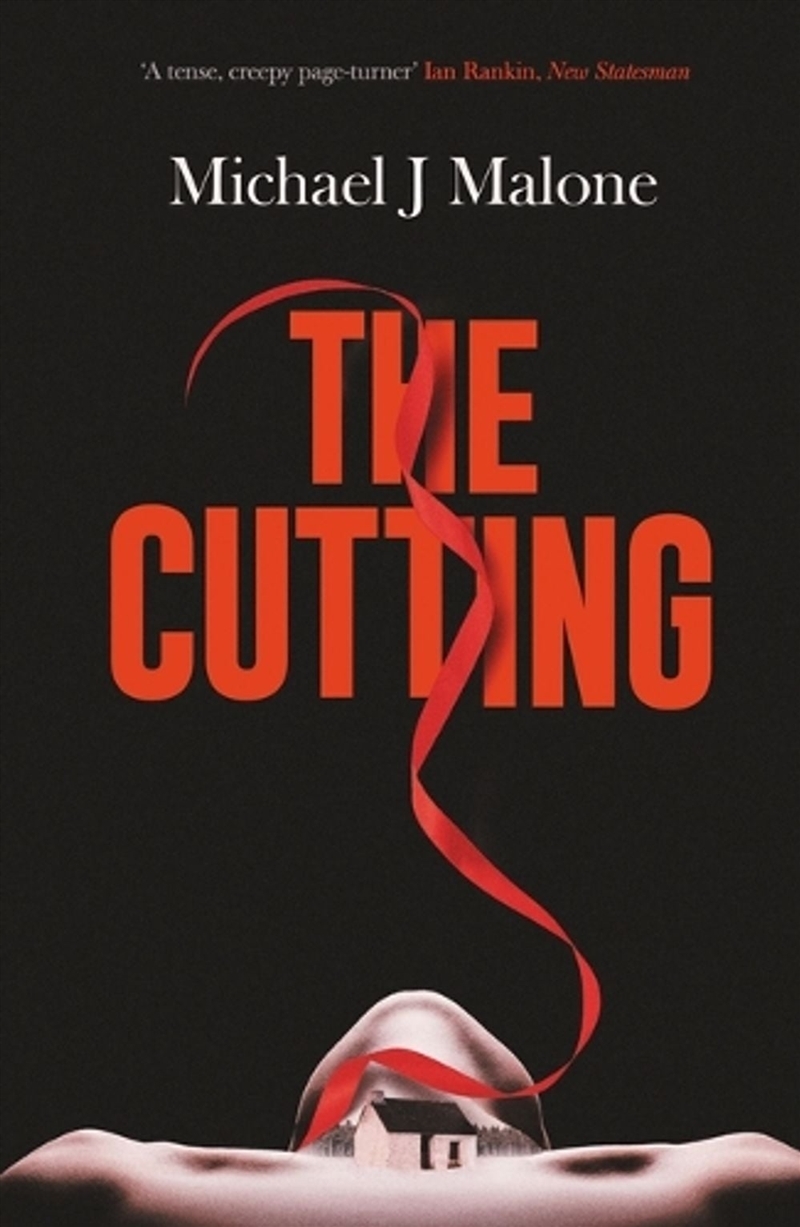 The Cutting/Product Detail/Crime & Mystery Fiction