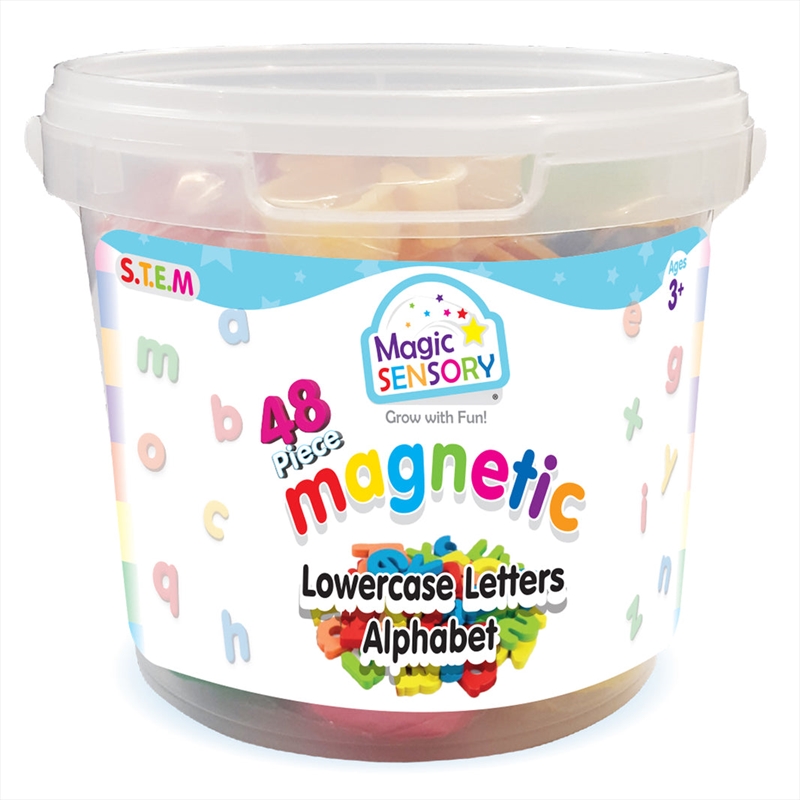 48 Piece Magnetic Lower Case Letters Alphabet/Product Detail/Educational