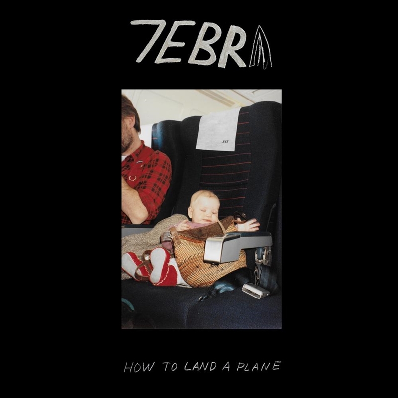 How To Land A Plane/Product Detail/Alternative