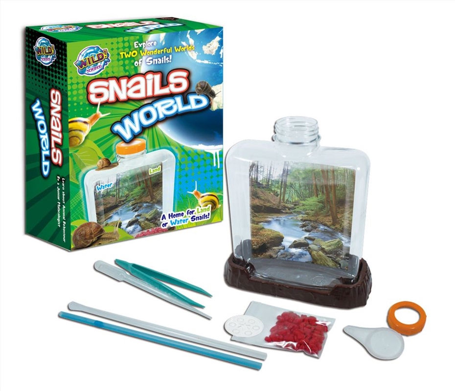 Snails World/Product Detail/Arts & Craft