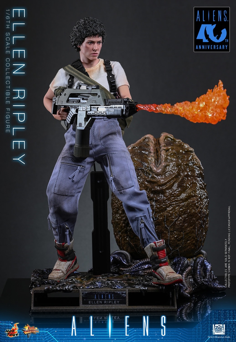 Aliens - Ellen Ripley Deluxe 1:6 Scale Collectable Action Figure/Product Detail/Figurines