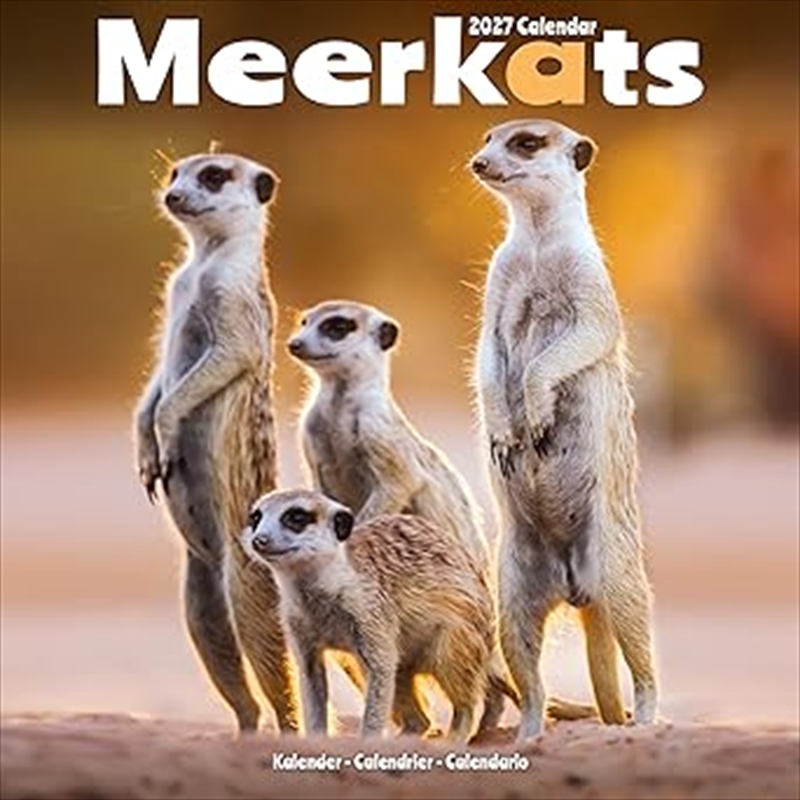 Meerkats SS Wall Calendar 2027/Product Detail/Calendars & Diaries