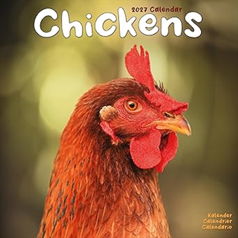 Chickens Wall Calendar 2027/Product Detail/Calendars & Diaries