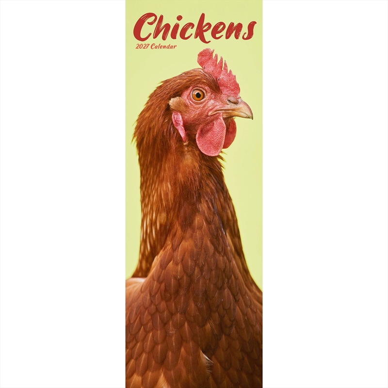 Chickens Slim Calendar 2027/Product Detail/Calendars & Diaries