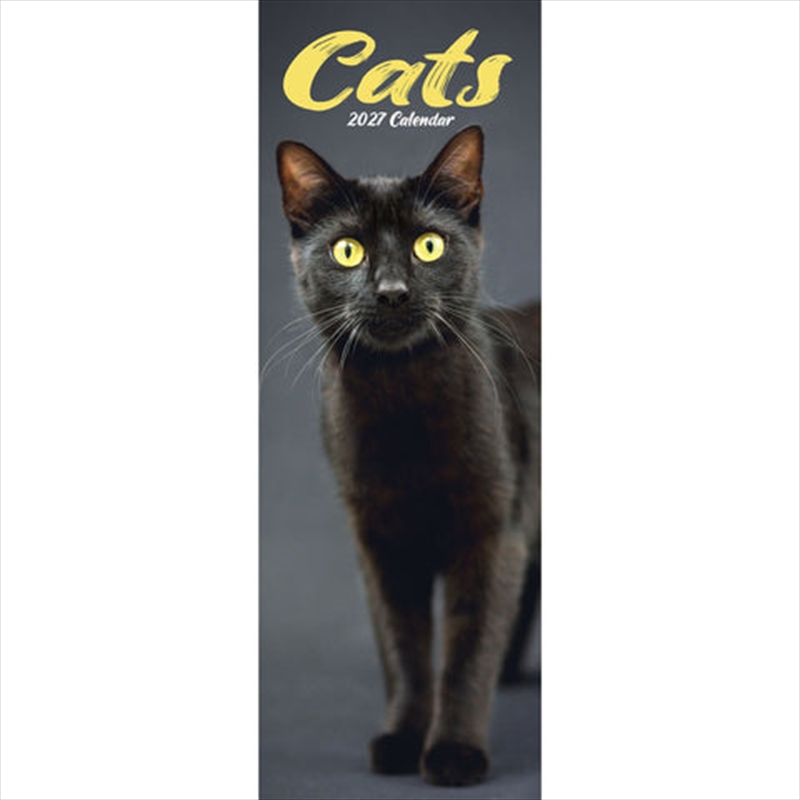 Cats Slim Calendar 2027/Product Detail/Calendars & Diaries