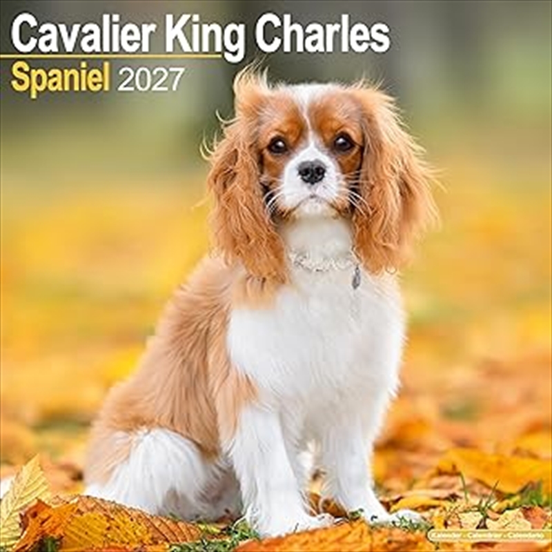 Cavalier King Charles Spaniel Wall Calendar 2027/Product Detail/Calendars & Diaries