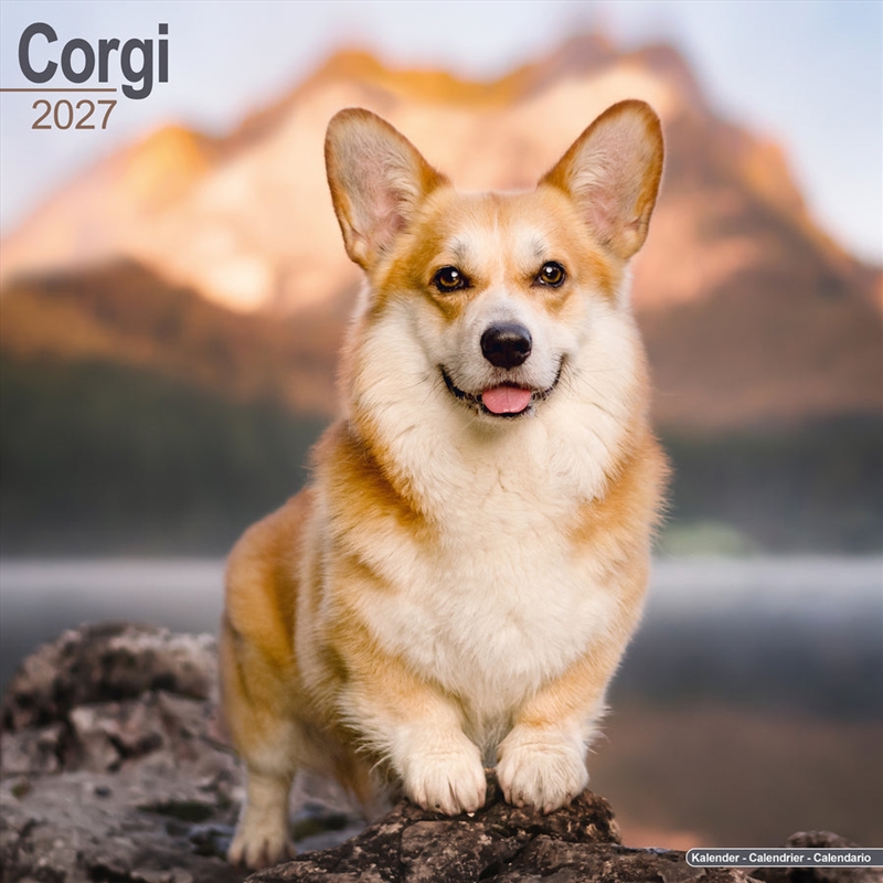 Corgis Wall Calendar 2027/Product Detail/Calendars & Diaries