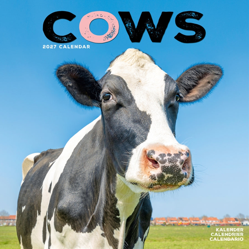 Cows Wall Calendar 2027/Product Detail/Calendars & Diaries