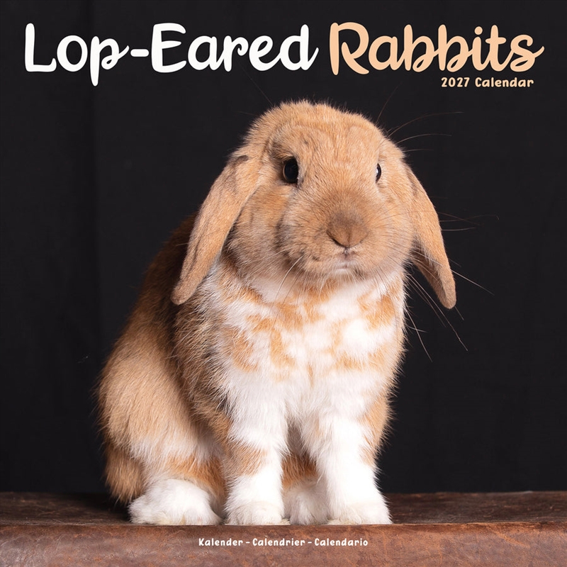 Lop eared Rabbits W Calendar 2027/Product Detail/Calendars & Diaries