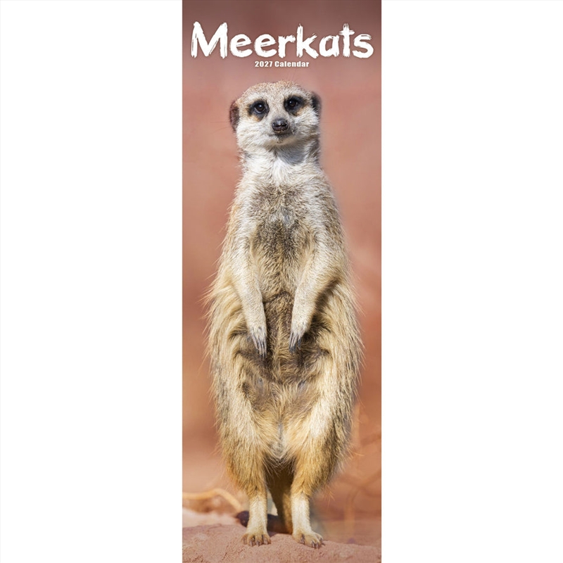 Meerkats Slim Calendar 2027/Product Detail/Calendars & Diaries