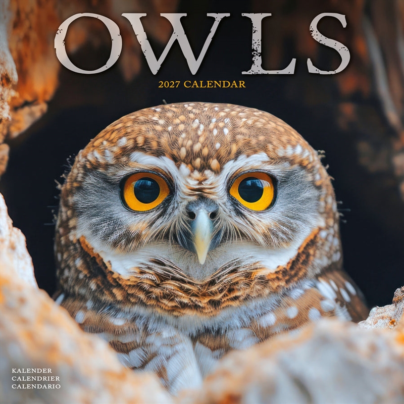 Owls W / AVONSI Calendar 2027/Product Detail/Calendars & Diaries