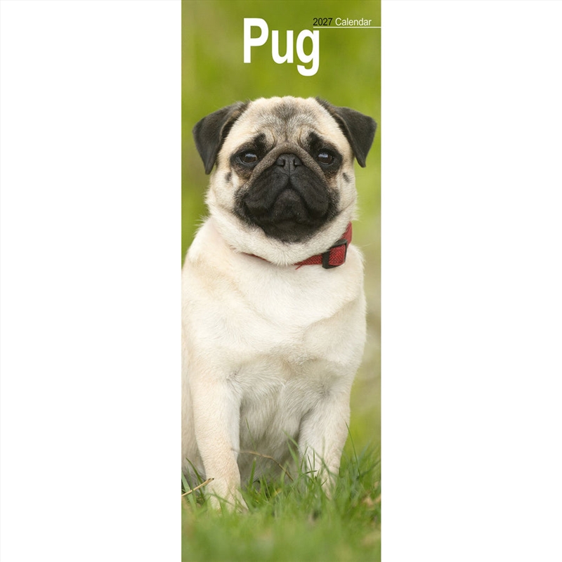 Pug Slim Calendar 2027/Product Detail/Calendars & Diaries