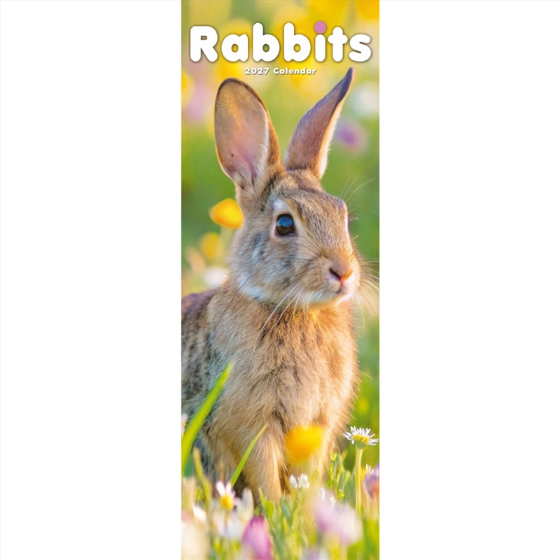 Rabbits Slim Calendar 2027/Product Detail/Calendars & Diaries