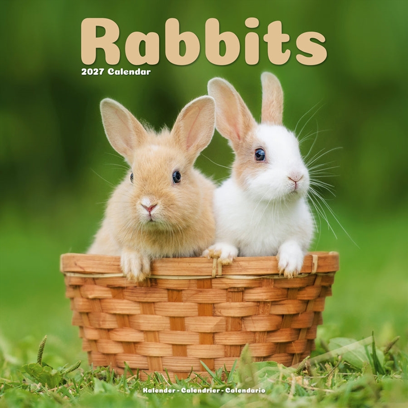 Rabbits Wall / AVONSI Calendar 2027/Product Detail/Calendars & Diaries