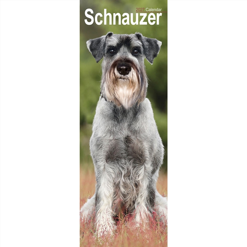Schnauzer Slim Calendar 2027/Product Detail/Calendars & Diaries