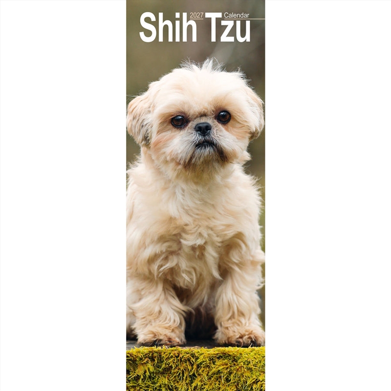Shih Tzu Slim Calendar 2027/Product Detail/Calendars & Diaries