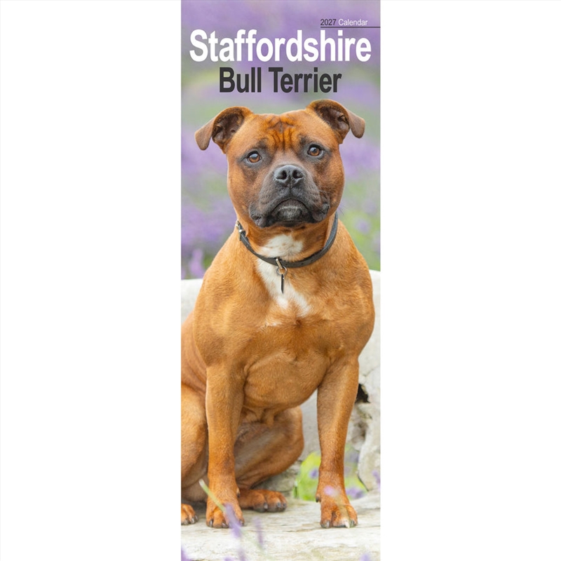Staffordshire Bull Terrier Slim Calendar 2027/Product Detail/Calendars & Diaries