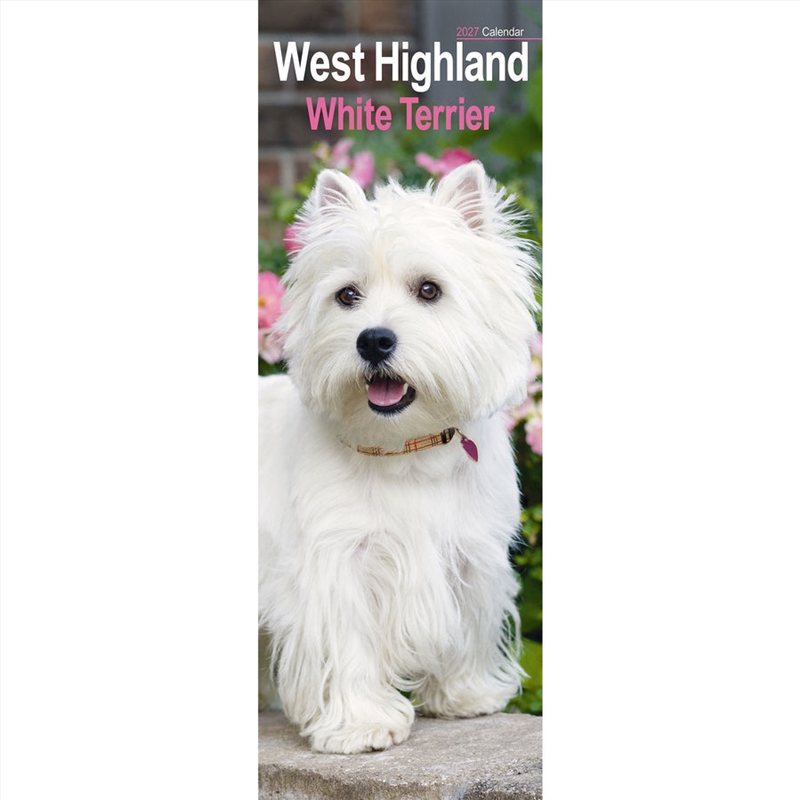 West Highland White Terrier Slim Calendar 2027/Product Detail/Calendars & Diaries