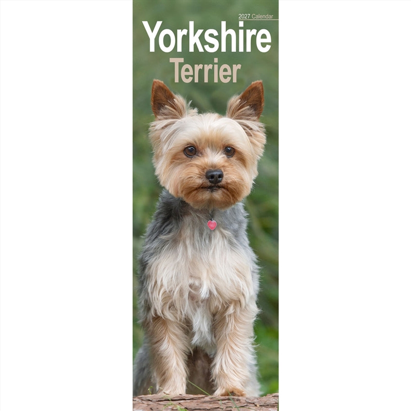 Yorkshire Terrier Slim Calendar 2027/Product Detail/Calendars & Diaries