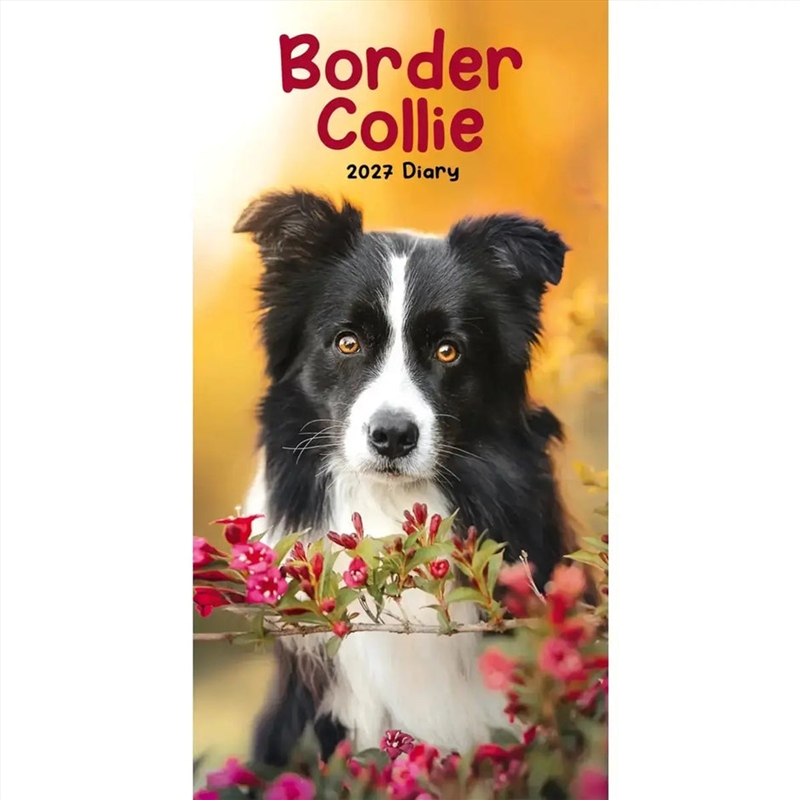 Border Collies Slim Diary 2027/Product Detail/Calendars & Diaries