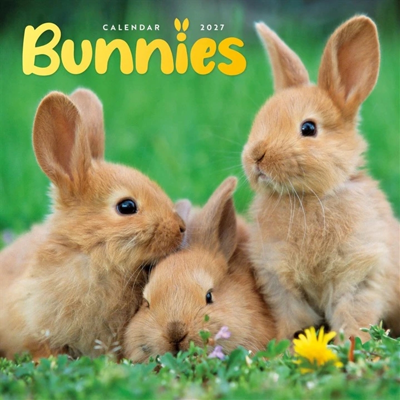 Bunnies Mini Calendar 2027/Product Detail/Calendars & Diaries