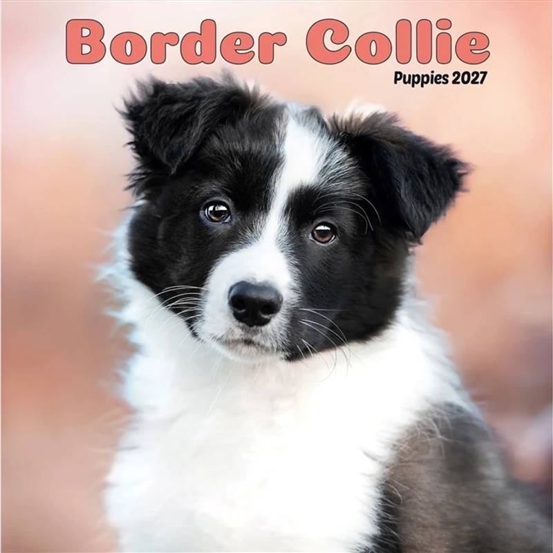 Border Collie Puppies Mini Calendar 2027/Product Detail/Calendars & Diaries