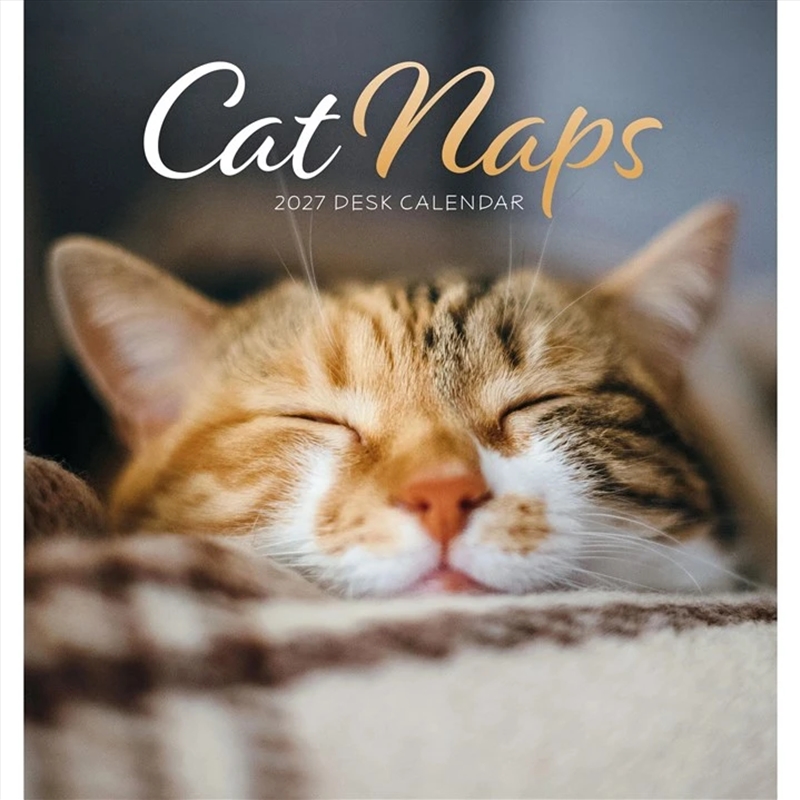 Cat Naps Easel Desk Calendar 2027/Product Detail/Calendars & Diaries