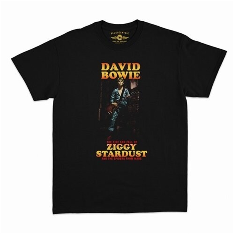 David Bowie - Ziggy Stardust & the Spiders - Heavy Cotton T-Shirt - Small Black/Product Detail/Shirts