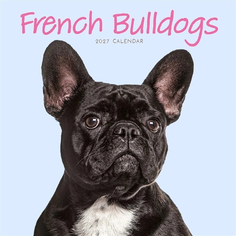 French Bulldogs Mini Calendar 2027/Product Detail/Calendars & Diaries