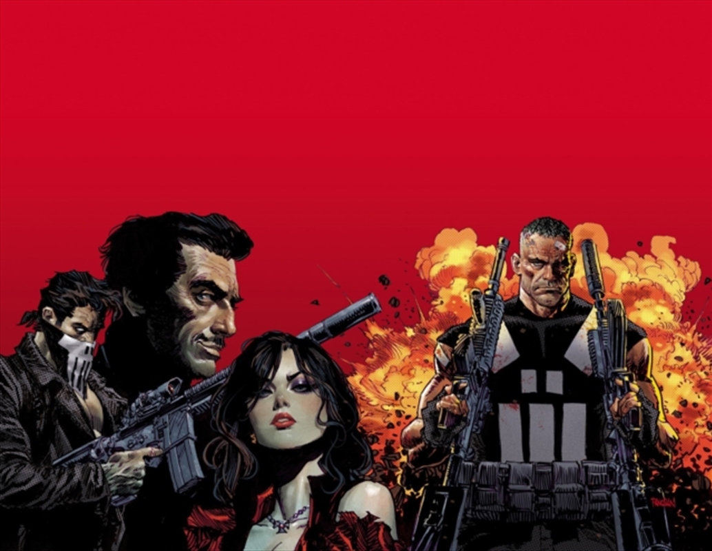 Marvel Knights: Punisher/Product Detail/Graphic Novels