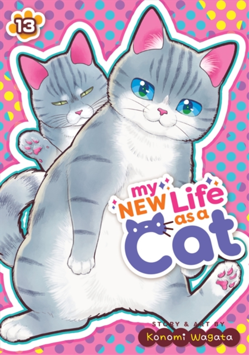 My New Life as a Cat Vol. 13/Product Detail/Graphic Novels