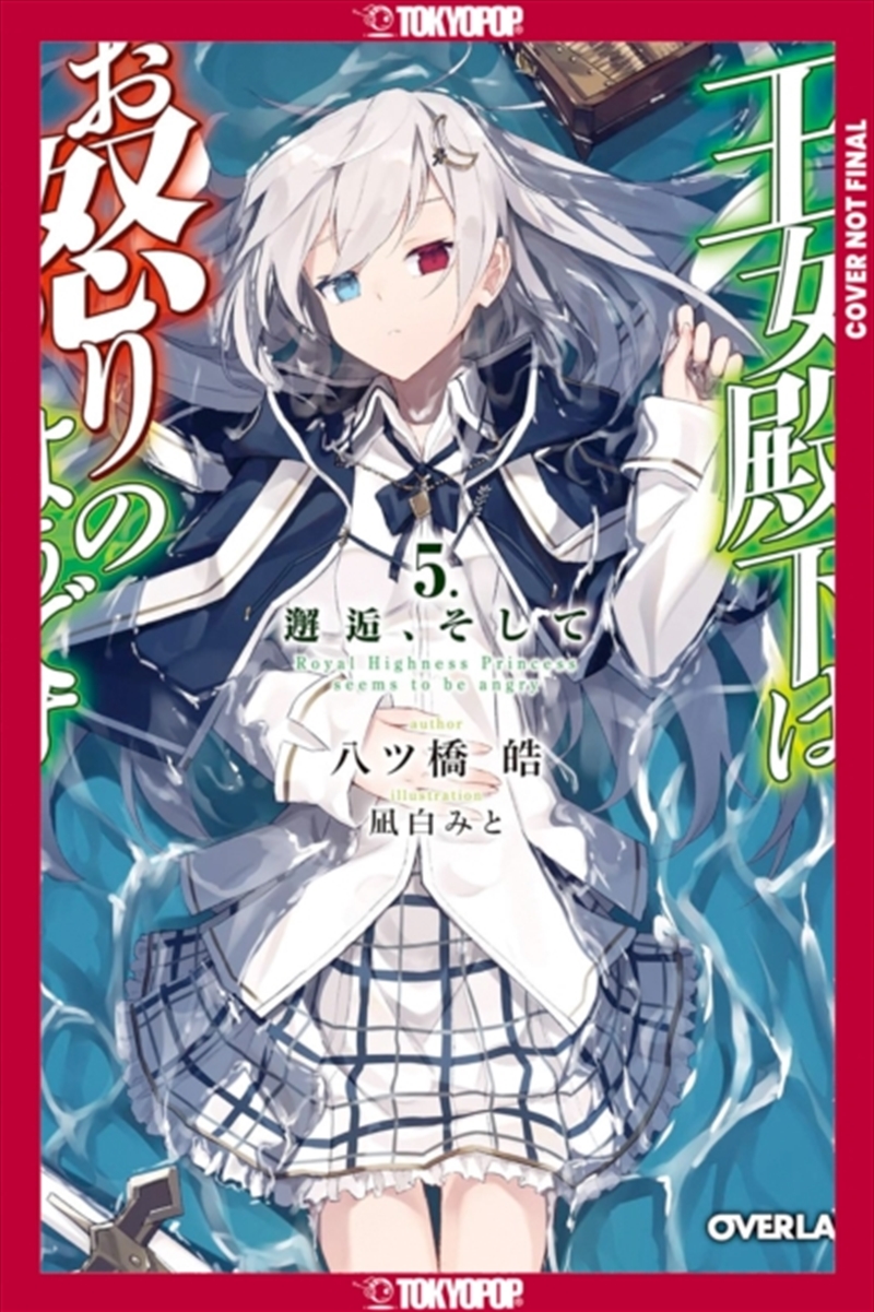 Her Royal Highness Seems to Be Angry, Volume 5 (Light Novel)/Product Detail/Graphic Novels
