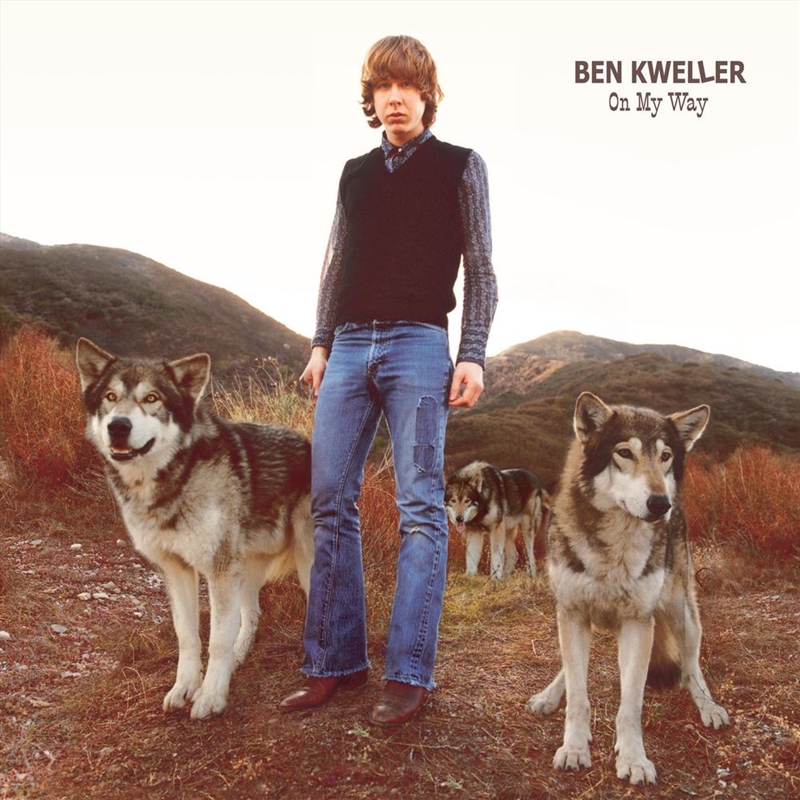 On My Way - Brown Vinyl/Product Detail/Rock/Pop
