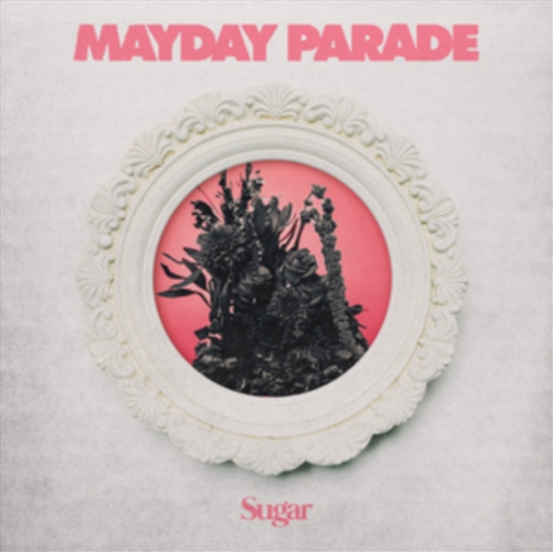 Sugar/Product Detail/Rock/Pop