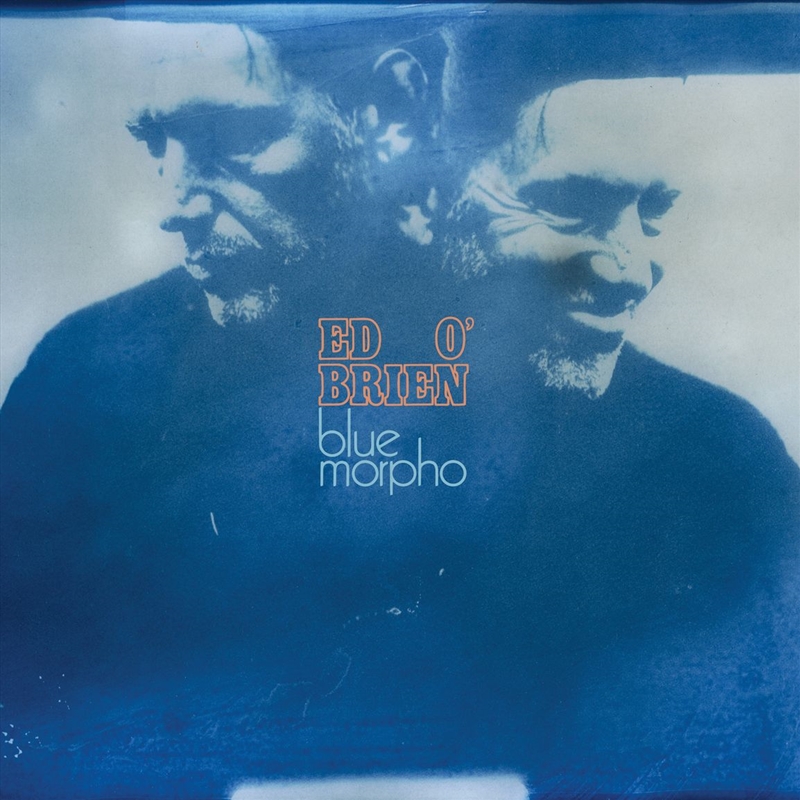 Blue Morpho/Product Detail/Rock/Pop