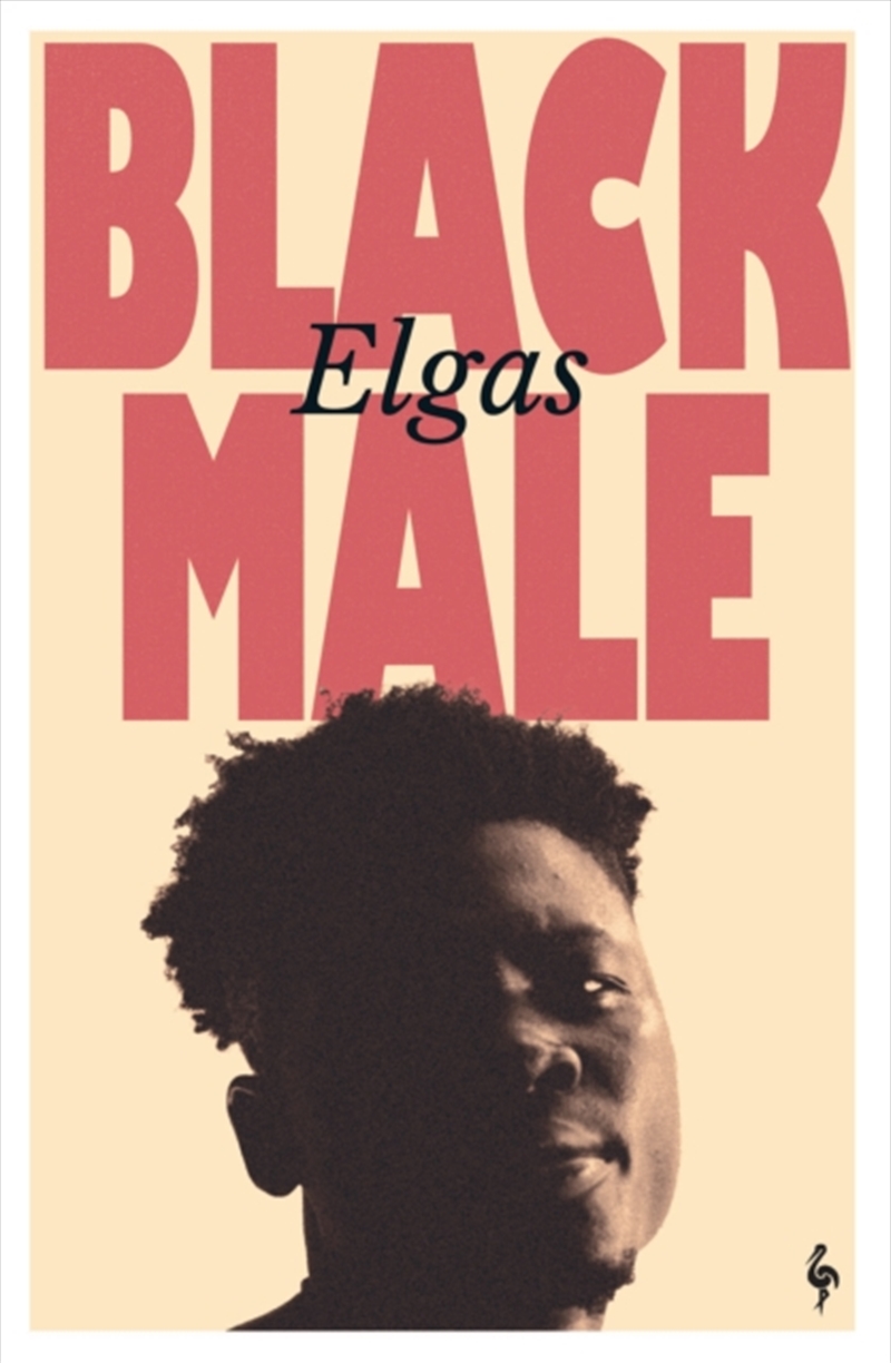 Black Male/Product Detail/General Fiction Books