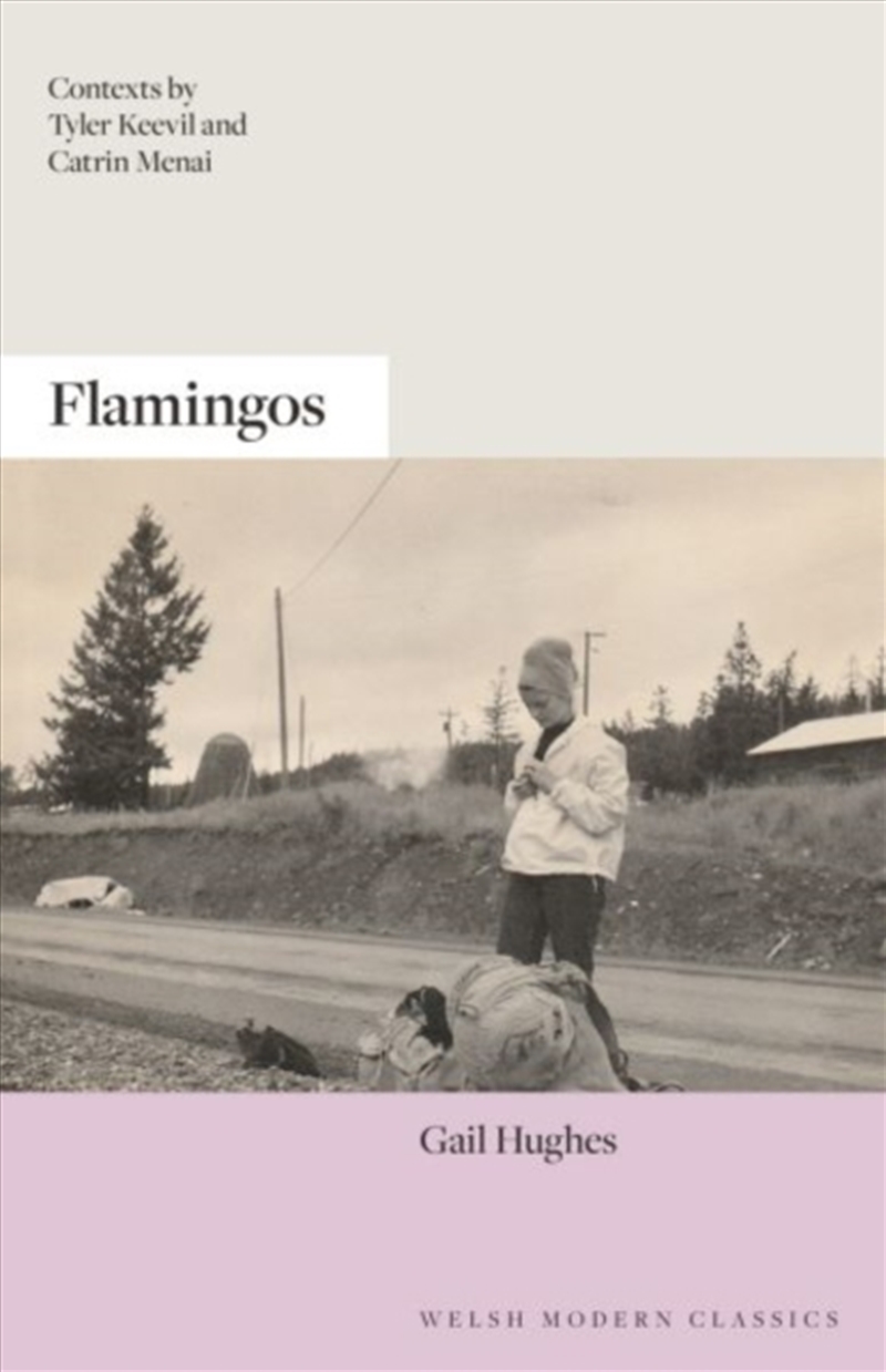 Flamingos/Product Detail/General Fiction Books
