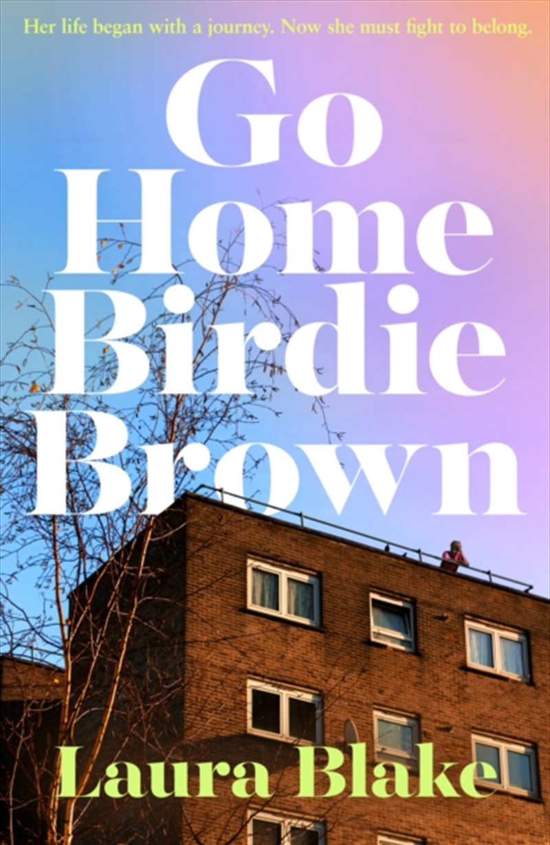 Go Home Birdie Brown/Product Detail/Historical Fiction