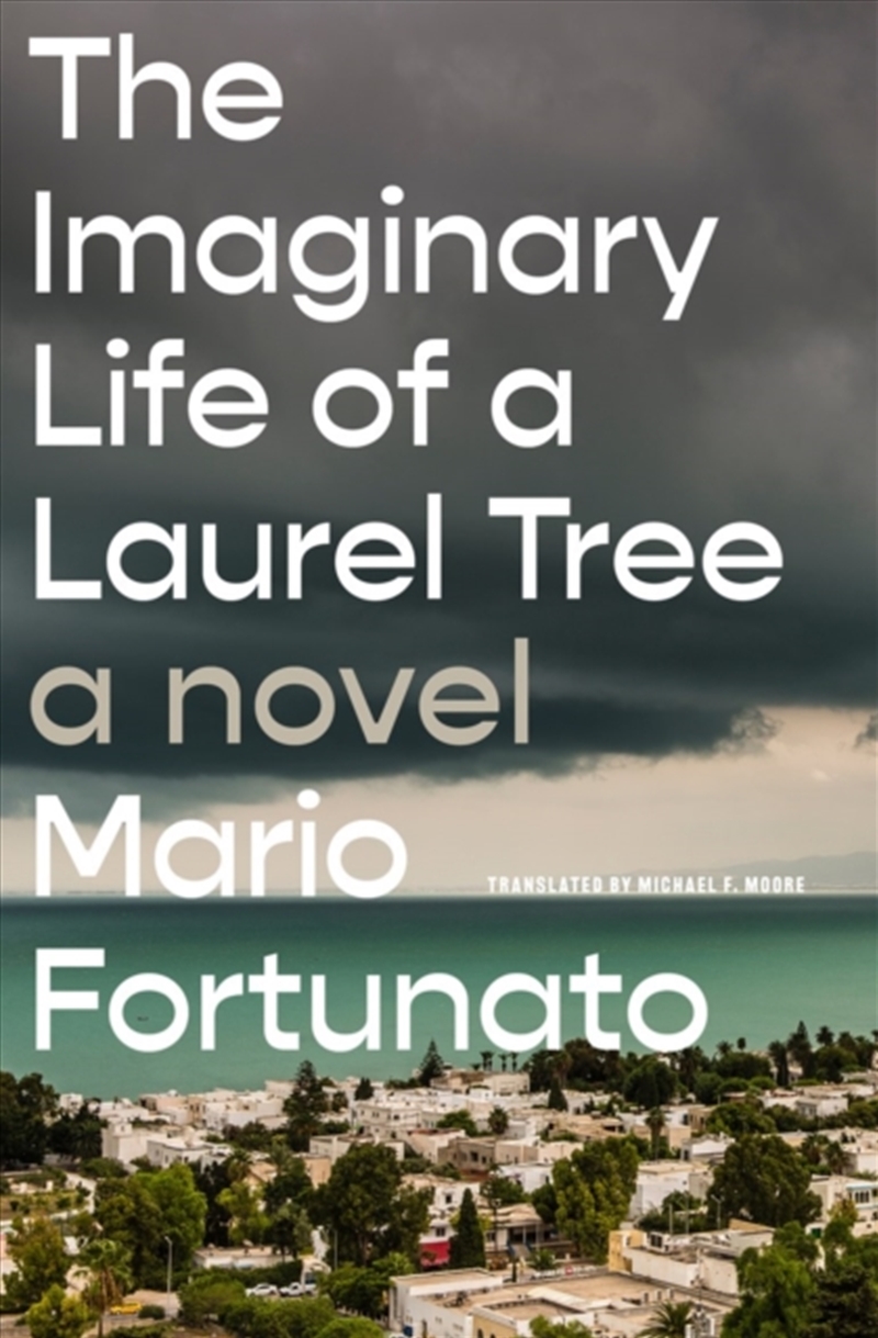 The Imaginary Life Of A Laurel/Product Detail/General Fiction Books