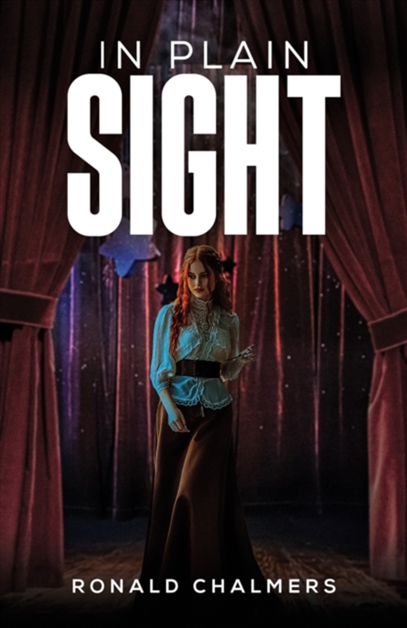 In Plain Sight/Product Detail/Historical Fiction