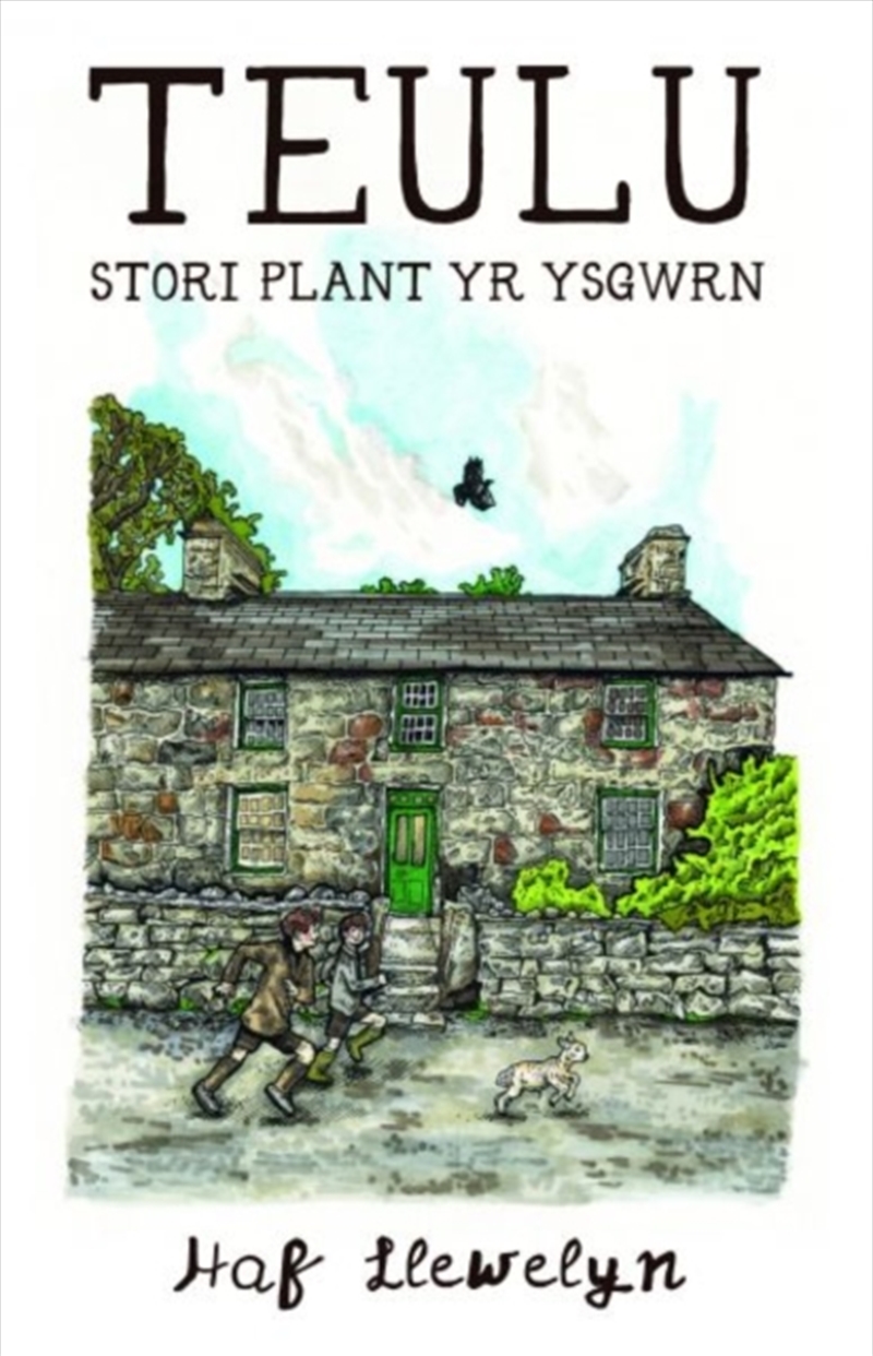 Teulu - Stori Plant yr Ysgwrn : Stori Plant yr Ysgwrn/Product Detail/Childrens Fiction Books