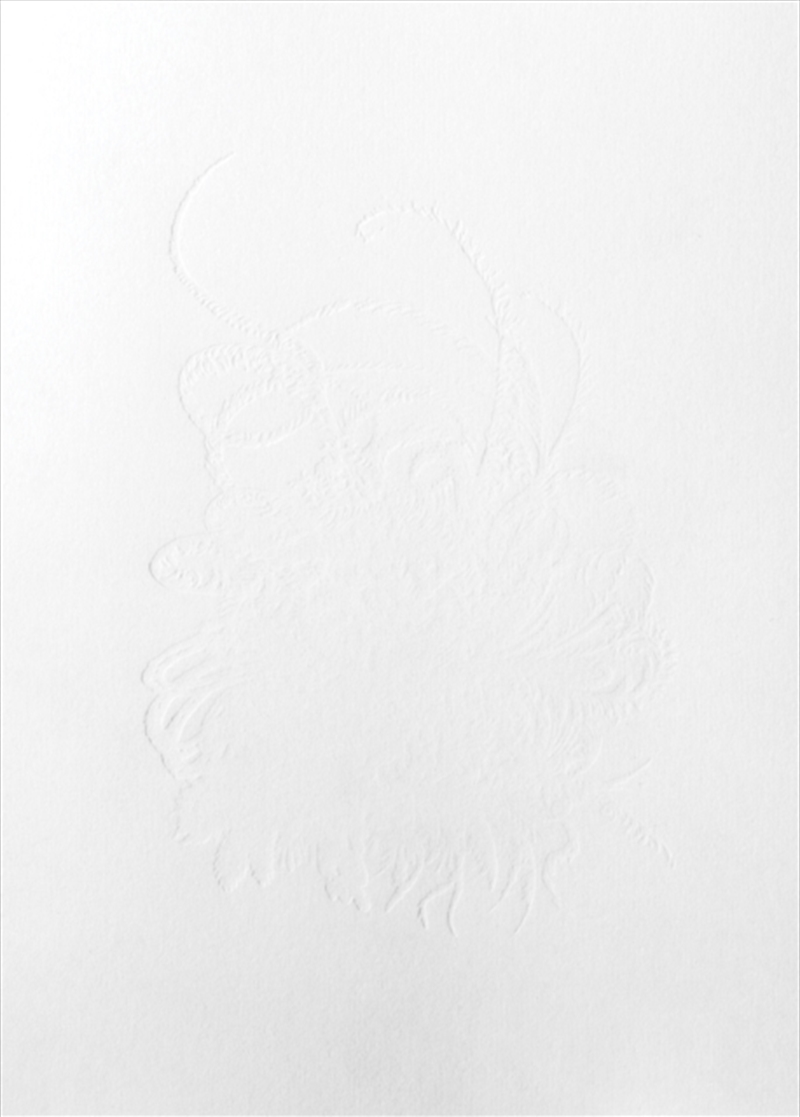 VIVID : Joke Raes/Product Detail/Art