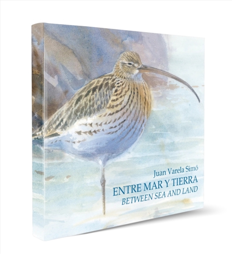 Between Sea and Land / Entre Mar y Tierra/Product Detail/Animals & Nature