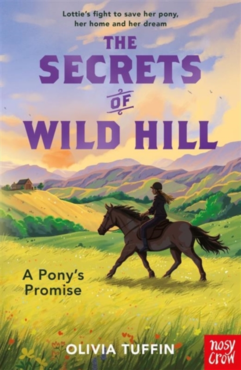 The Secrets of Wild Hill: A Pony's Promise/Product Detail/Childrens Fiction Books