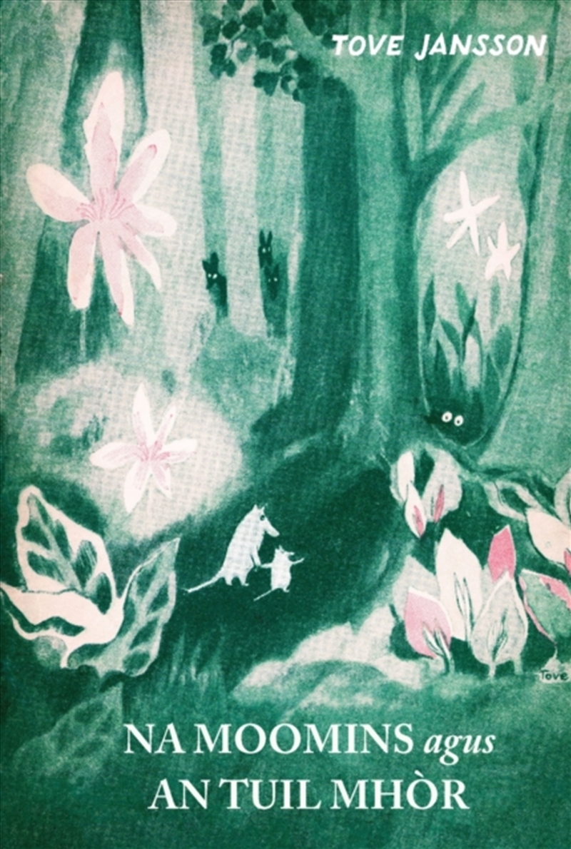 Na Mumain agus An Tuil Mhor/Product Detail/Childrens Fiction Books