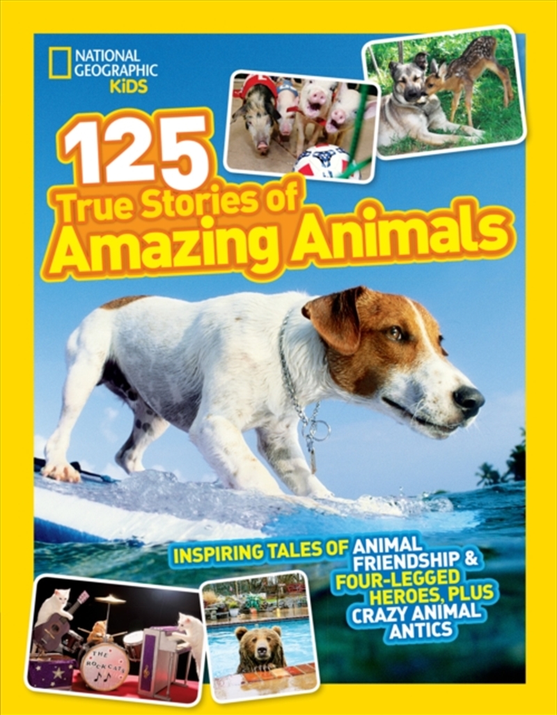 125 True Stories of Amazing Animals : Inspiring Tales of Animal Friendship & Four-Legged Heroes, Plu/Product Detail/Childrens