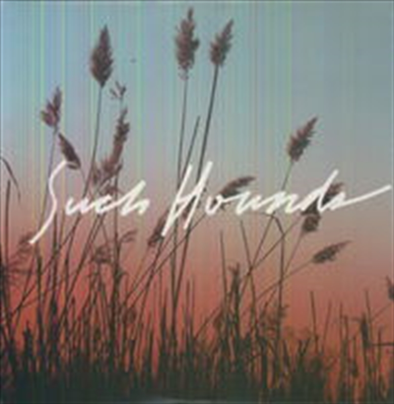 I Hate Summer/Product Detail/Rock/Pop