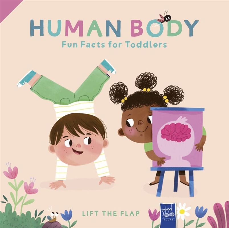Lift The Flap - Fun Fact For Toddlers: Human Body/Product Detail/Early Childhood Fiction Books