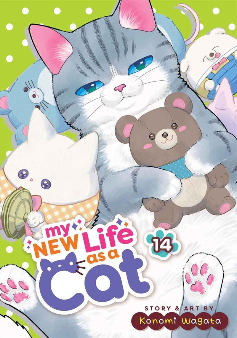 My New Life as a Cat Vol. 14/Product Detail/Graphic Novels